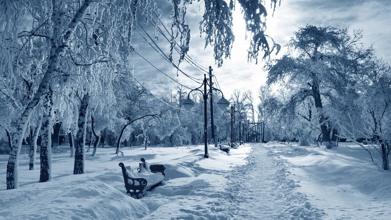 Snow-covered Park Bench — Blue, Cold