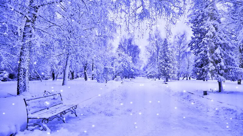 Snow-covered Park Bench — Blue, Serene, Winter, Digital Art, Trees