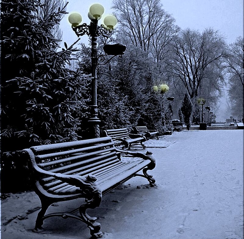 Snow-covered Park Bench — Blue, Serene, Winter, Photograph, Lamppost