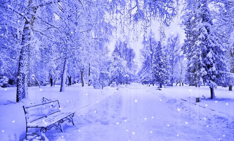 Snow-covered Park Bench — Blue, Serene, Winter