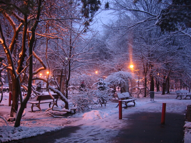 Snow-covered Park Bench — Blue