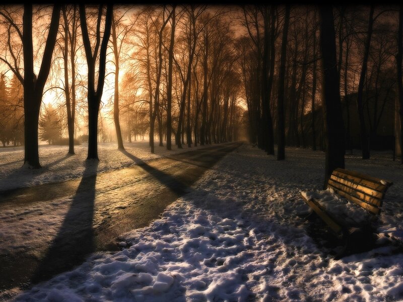 Snow-covered Park Bench — Brown, Serene