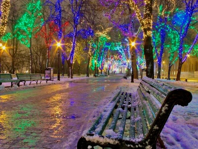 Snow-covered Park Bench — Green, Festive, Night, Photograph