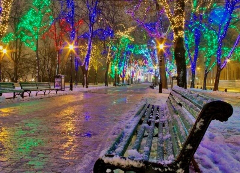 Snow-covered Park Bench — Green, Festive, Night