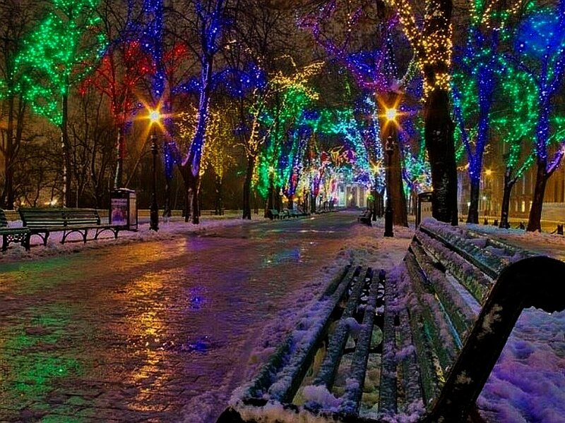 Snow-covered Park Bench — Green, Festive