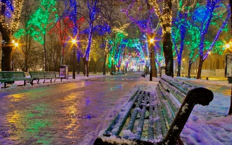 Snow-covered Park Bench — Green