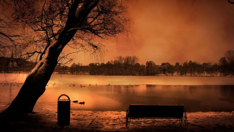 Snow-covered Park Bench — Orange, Serene, Winter