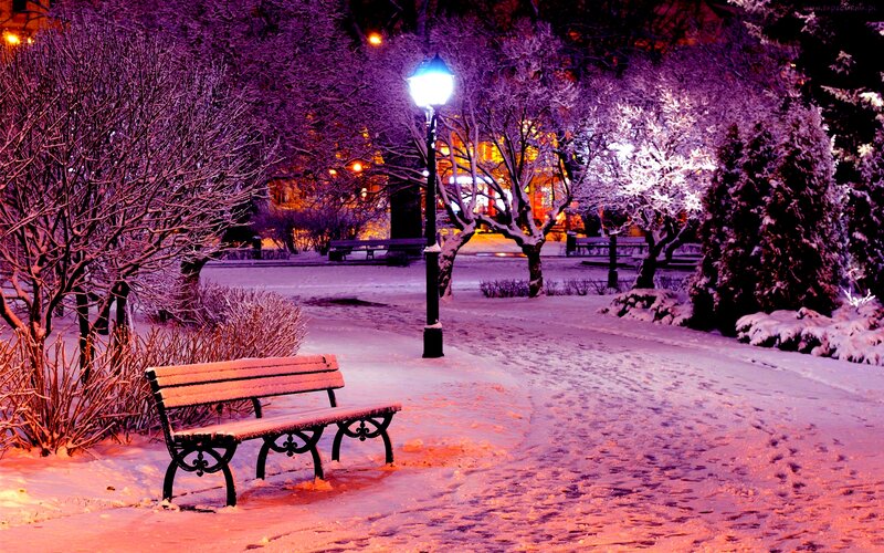 Snow-covered Park Bench — Purple