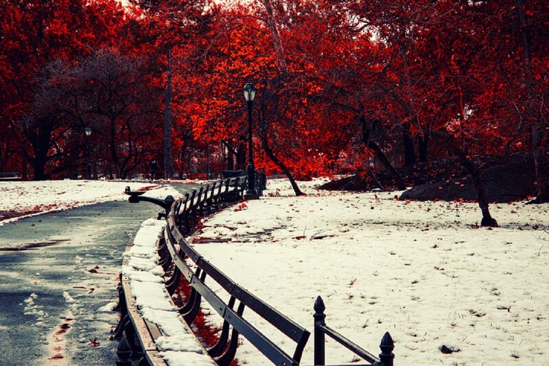 Snow-covered Park Bench — Red