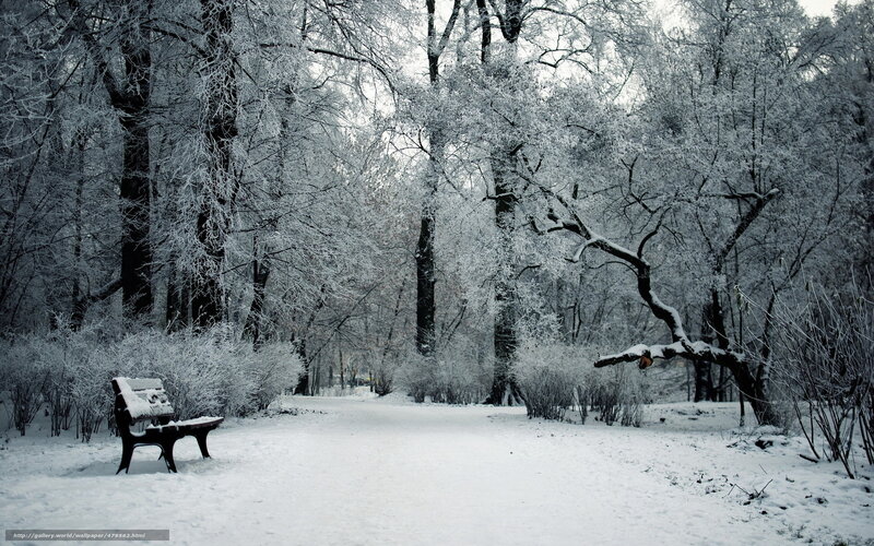 snow-covered park bench