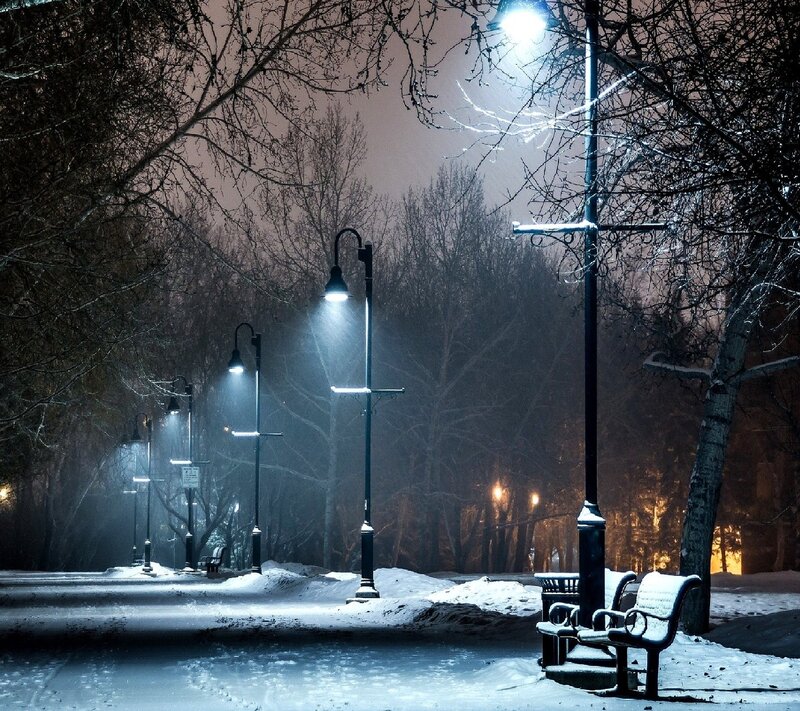 Snow-covered Park Bench — White, Cold, Night, Photograph
