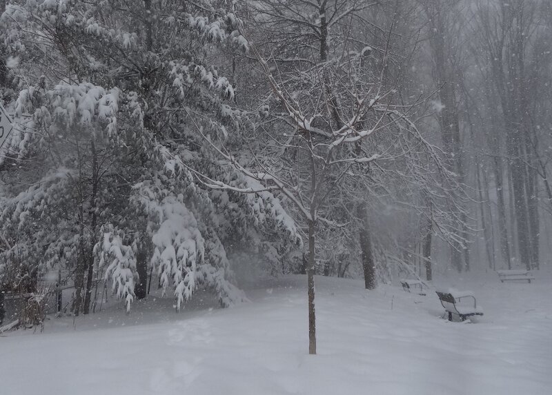 Snow-covered Park Bench — White, Cold