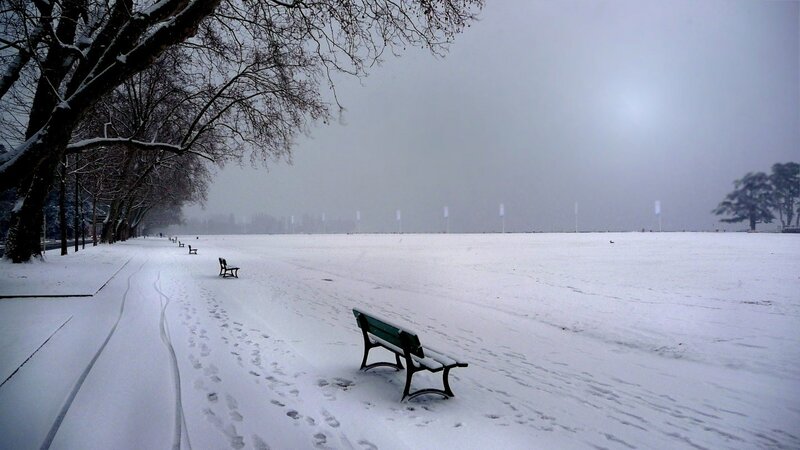 Snow-covered Park Bench — White, Cold, Winter, Photograph