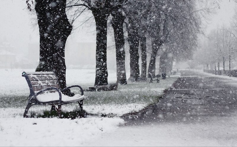 Snow-covered Park Bench — White, Cold, Winter
