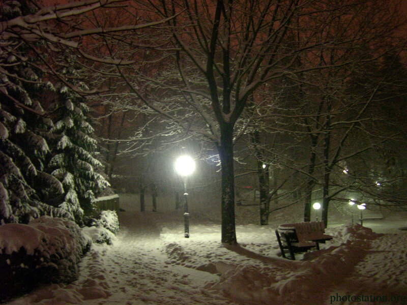 Snow-covered Park Bench — White, Quiet, Night, Photograph