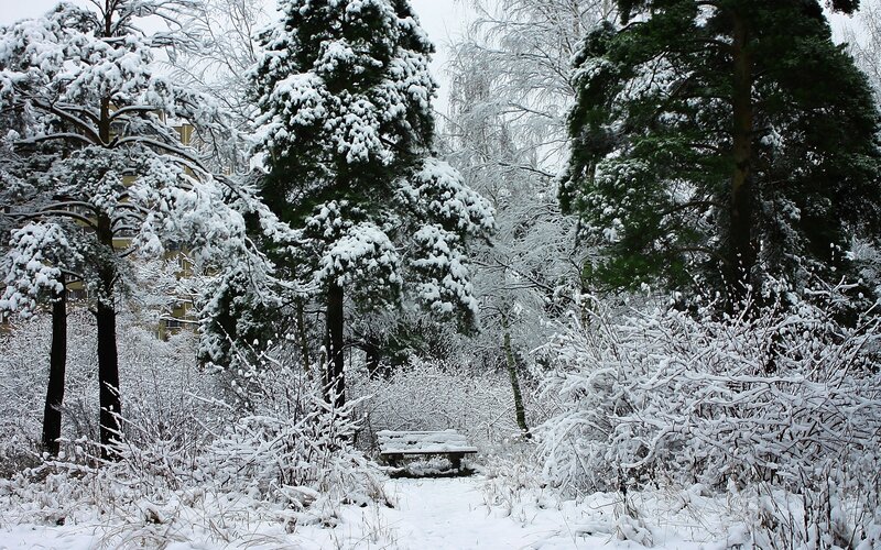 Snow-covered Park Bench — White, Quiet