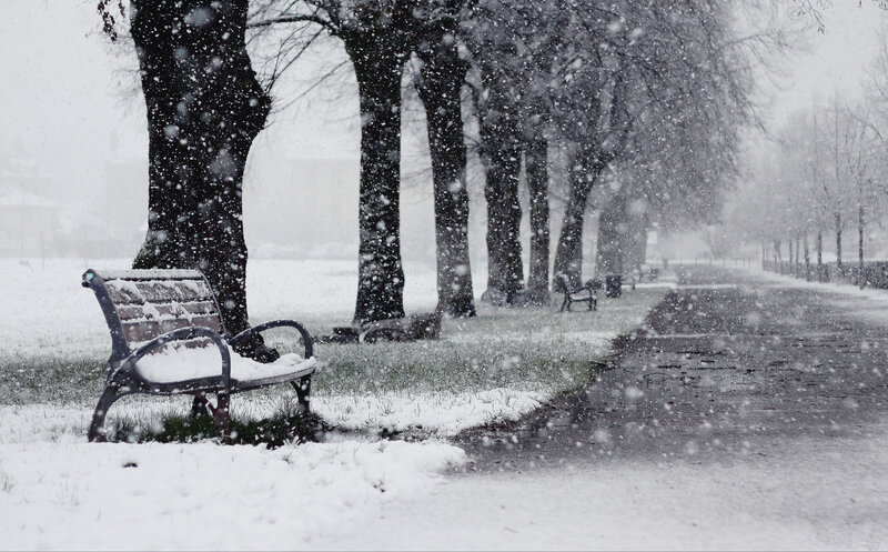 Snow-covered Park Bench — White, Quiet, Winter, Photograph