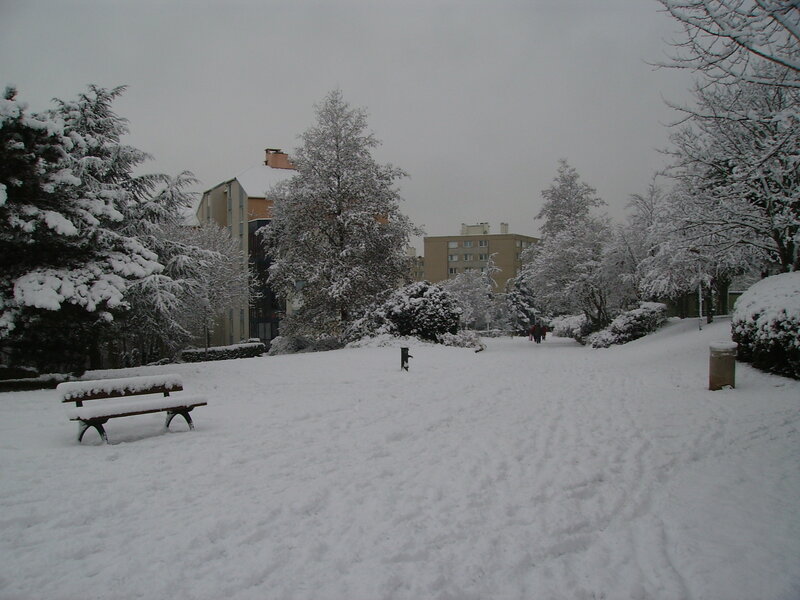 Snow-covered Park Bench — White, Quiet, Winter