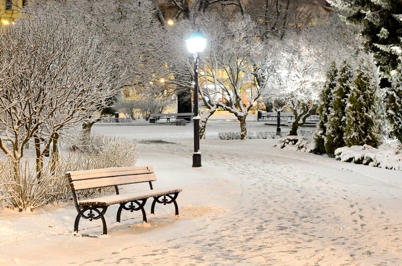 Snow-covered Park Bench — White, Serene, Night, Photograph, Street Lamp