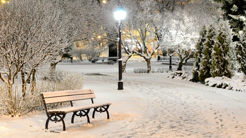Snow-covered Park Bench — White, Serene, Night, Photograph, Street Lamp, Trees