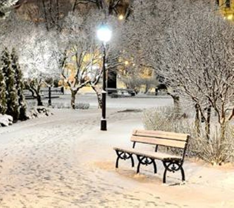 Snow-covered Park Bench — White, Serene, Night, Photograph, Streetlight, Trees