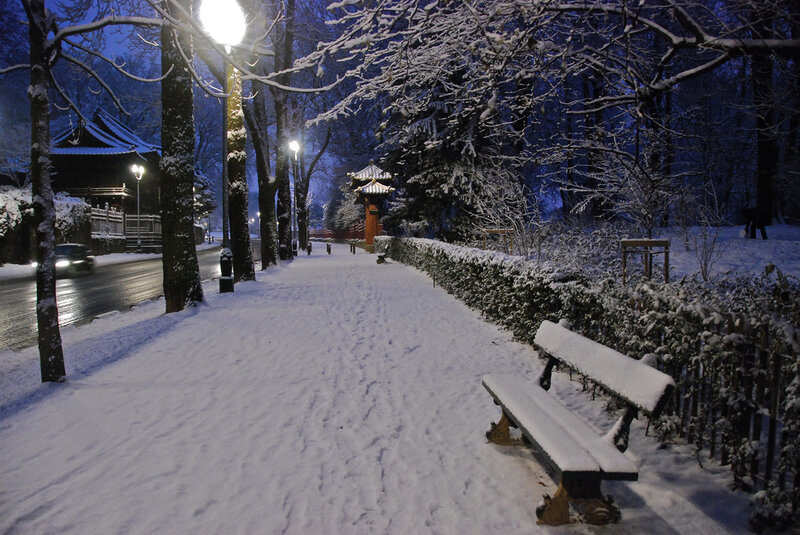 Snow-covered Park Bench — White, Serene, Night, Photograph