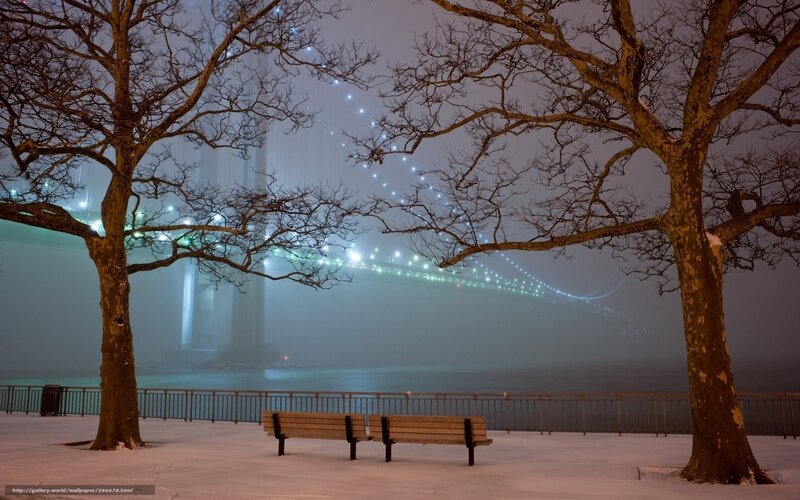 Snow-covered Park Bench — White, Serene, Night, Photograph, Trees, Bridge, Fog
