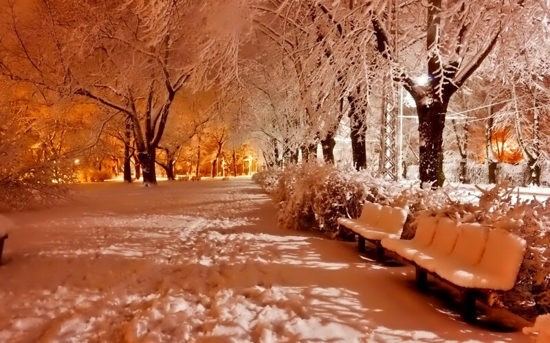 Snow-covered Park Bench — White, Serene, Night, Photograph, Trees, Snow, Streetlight