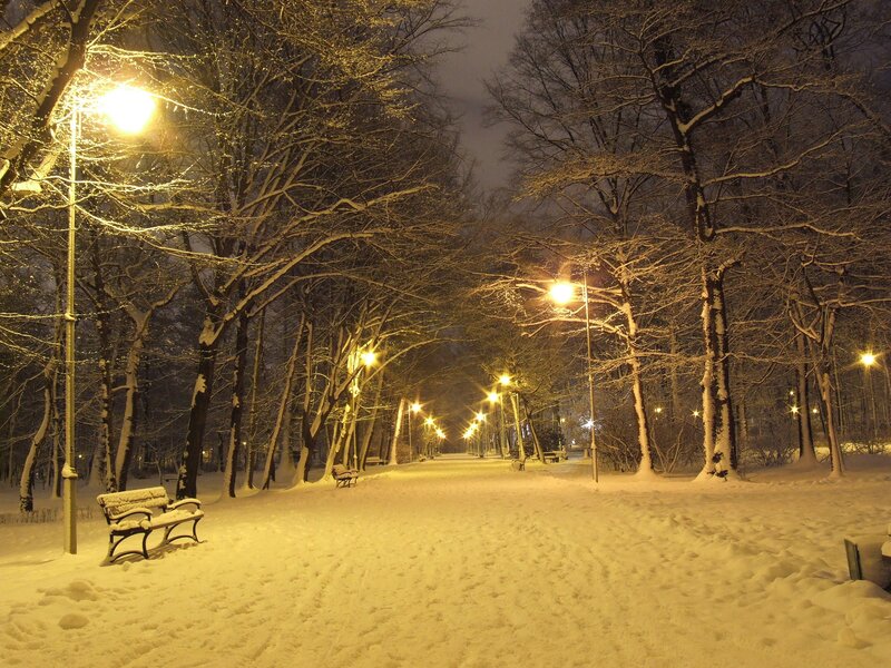 Snow-covered Park Bench — White, Serene, Night, Photograph, Trees, Streetlights