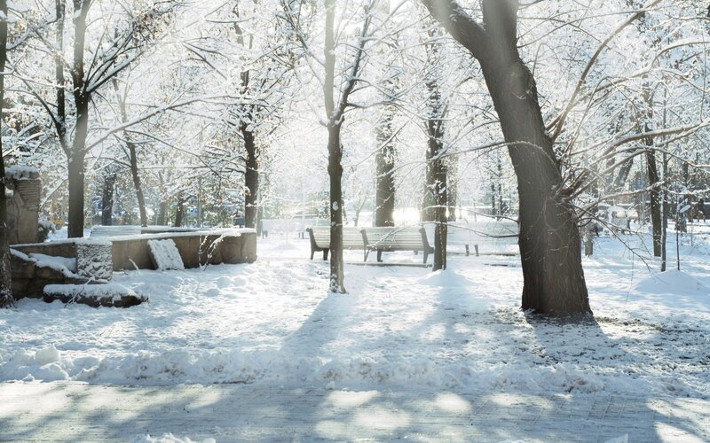 Snow-covered Park Bench — White, Serene