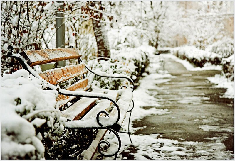 Snow-covered Park Bench — White, Serene, Winter, Photograph, Path
