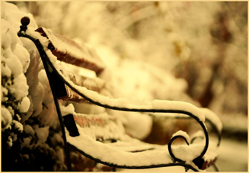 Snow-covered Park Bench — White, Serene, Winter, Photograph, Snow, Bush
