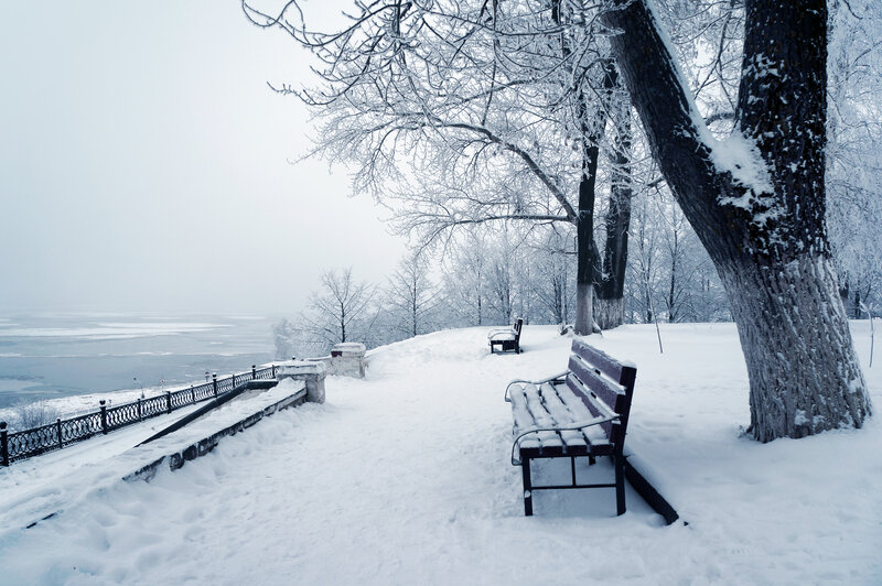 Snow-covered Park Bench — White, Serene, Winter, Photograph, Tree