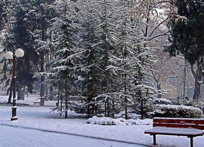 Snow-covered Park Bench — White, Serene, Winter, Photograph, Trees, Lamppost