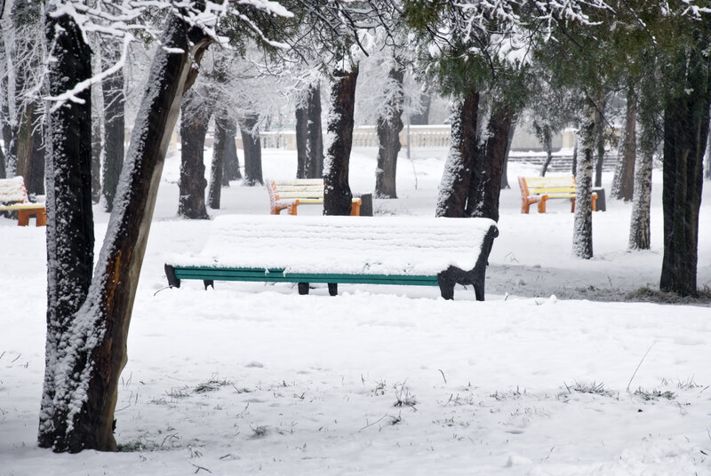 Snow-covered Park Bench — White, Serene, Winter, Photograph, Trees, Snow, Benches