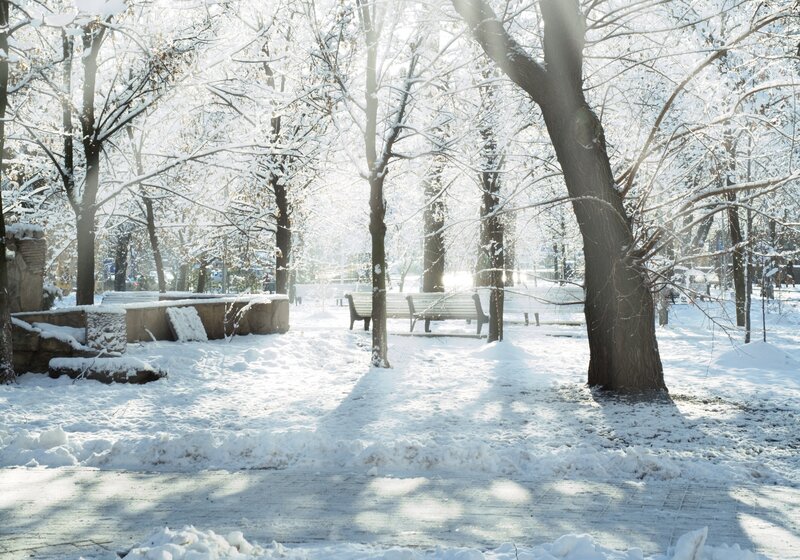 Snow-covered Park Bench — White, Serene, Winter, Photograph, Trees, Snow, Path