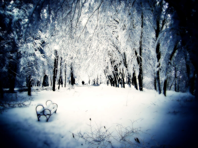 Snow-covered Park Bench — White, Serene, Winter, Photograph, Trees, Snow, People