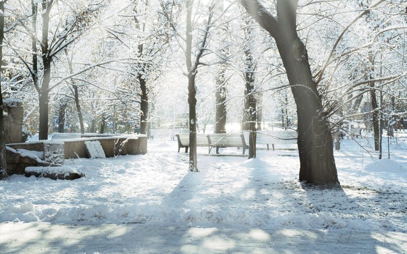 Snow-covered Park Bench — White, Serene, Winter, Photograph, Trees, Snow, Sunlight, Brown