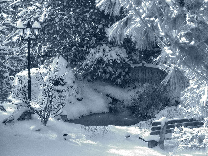 Snow-covered Park Bench — White, Serene, Winter