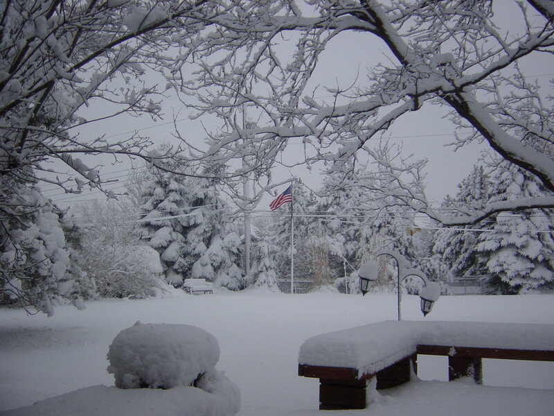 Snow-covered Park Bench — White