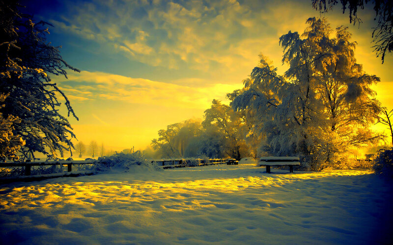 Snow-covered Park Bench — Yellow, Serene