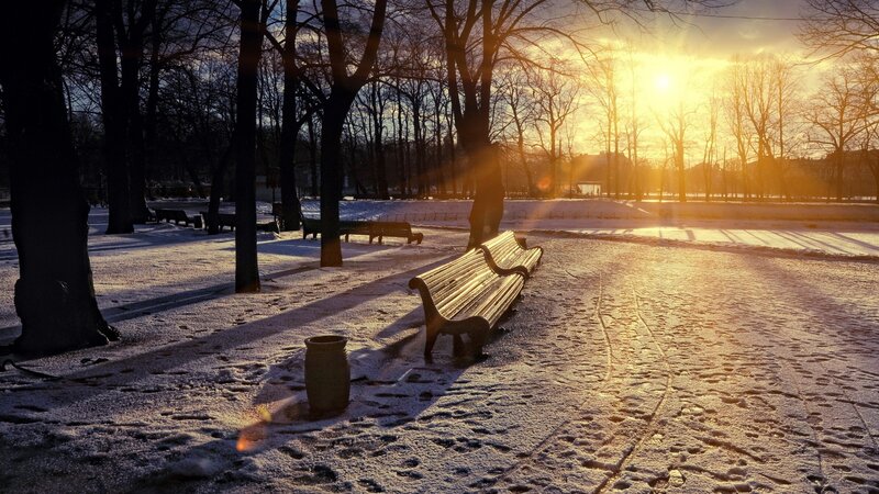 Snow-covered Park Bench — Yellow, Serene, Winter, Photograph