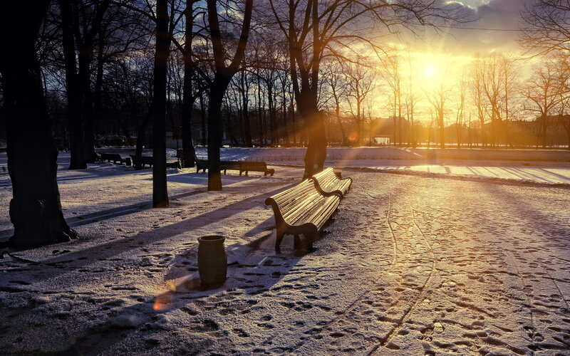 Snow-covered Park Bench — Yellow, Serene, Winter