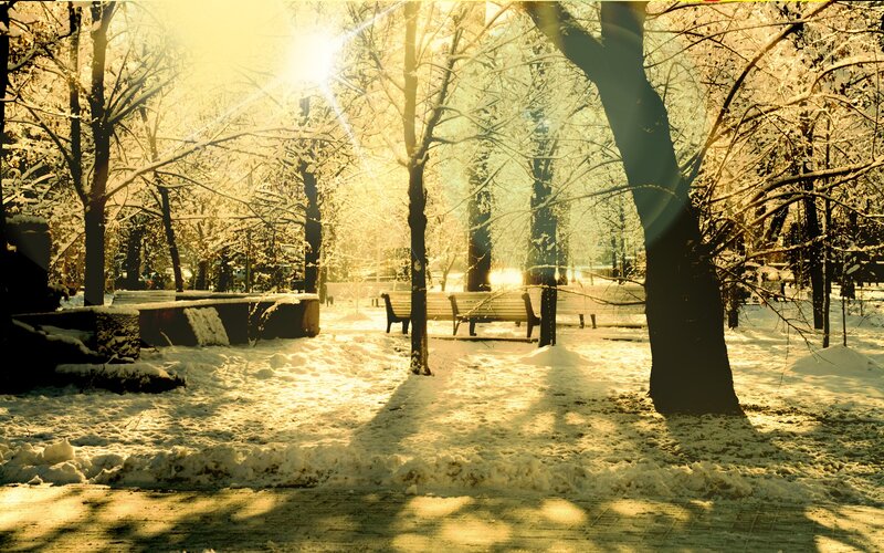 Snow-covered Park Bench — Yellow
