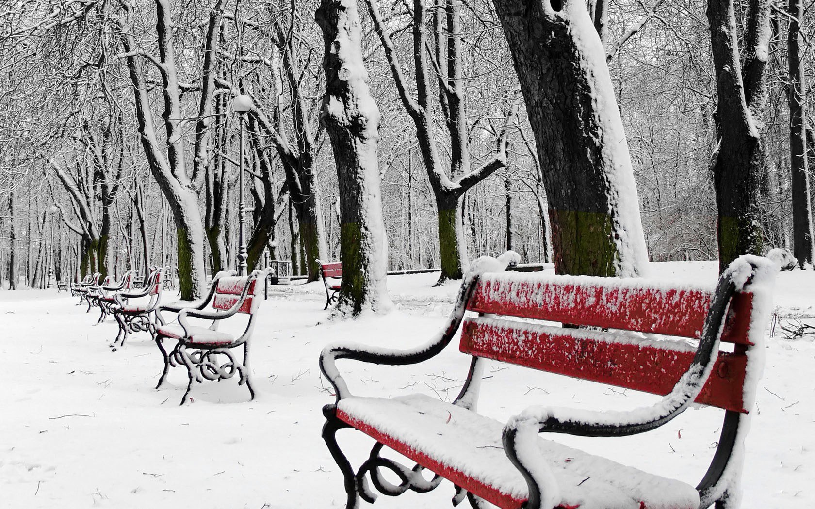 Snow-covered park benches