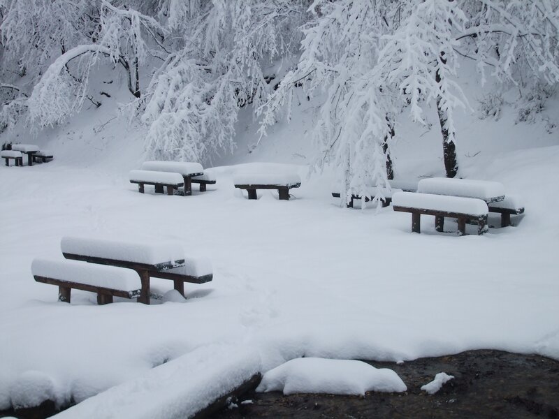 Snow-covered park benches