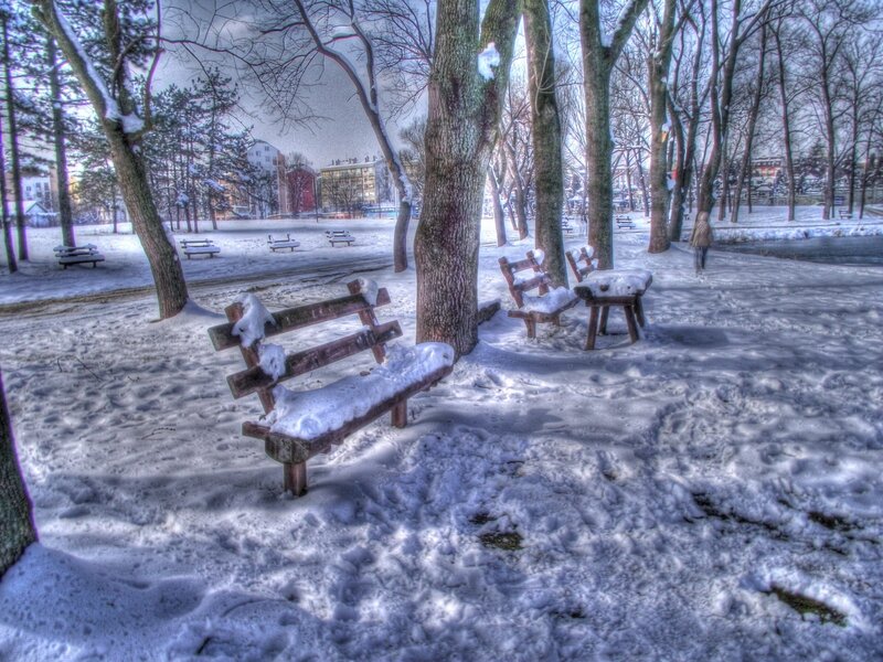 Snow-covered Park Benches — White, Cold