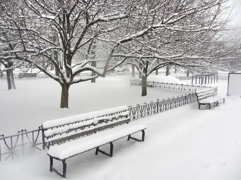 Snow-covered Park Benches — White, Quiet