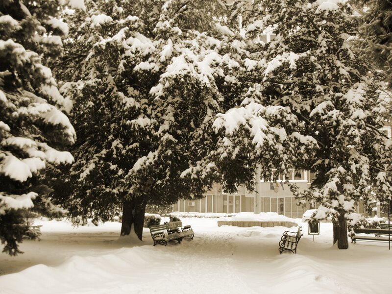 Snow-covered Park Benches — White, Serene, Winter