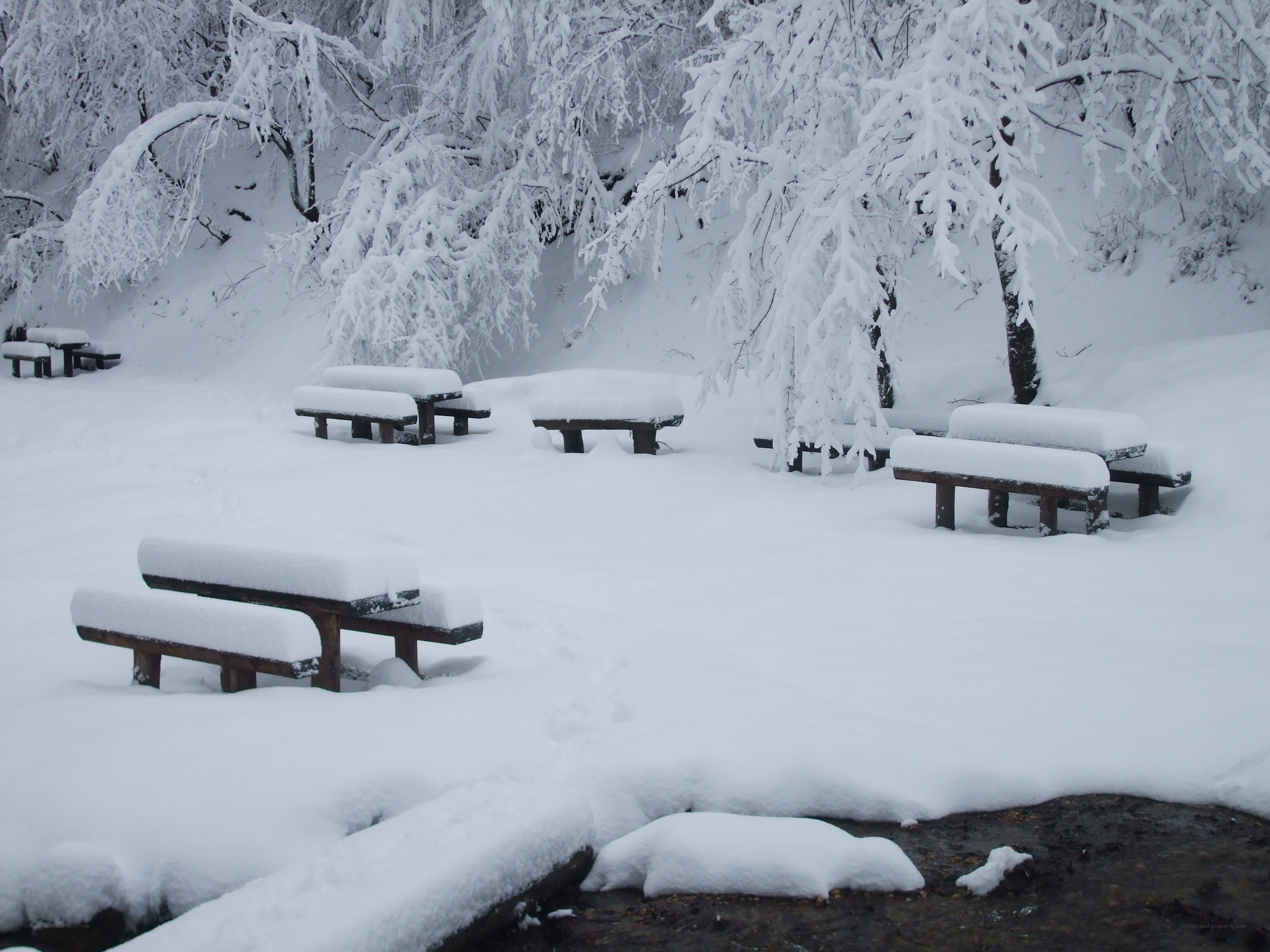 Snow-covered park benches